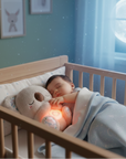 Koala Plush Toy Envires Baby