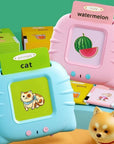 Talking Flash Cards
