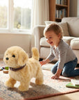 Robot Dog Envires Baby