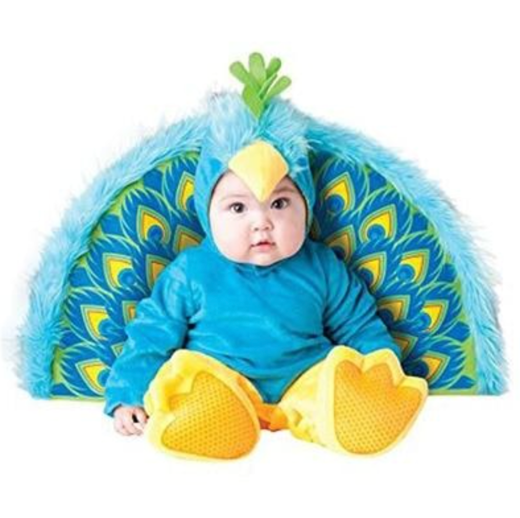 A baby wearing a blue and yellow peacock costume, sitting in front of a matching blue and yellow peacock backdrop against a white background.