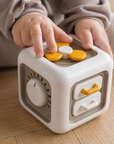 Montessori Busy Cube