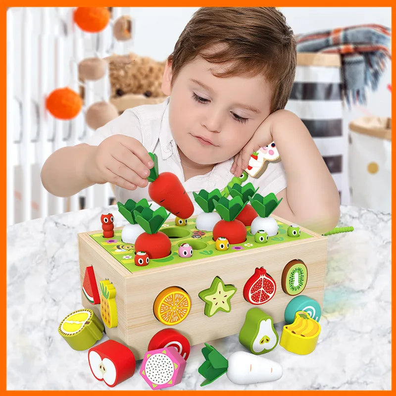 Montessori Wooden Garden aaa