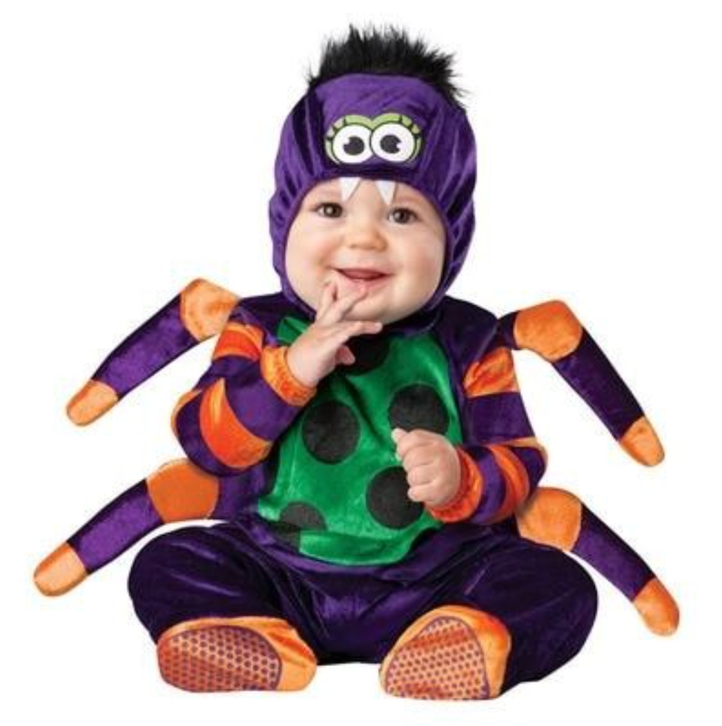 A baby wearing a purple and orange spider costume, sitting against a plain white background.