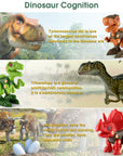 Take Apart Dinosaur Toy