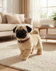 Robot Dog Envires Baby