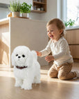 Robot Dog Envires Baby
